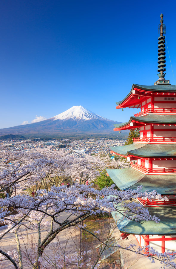 Free Internship Opportunities in Japan