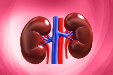 How to Keep Your Kidneys Healthy