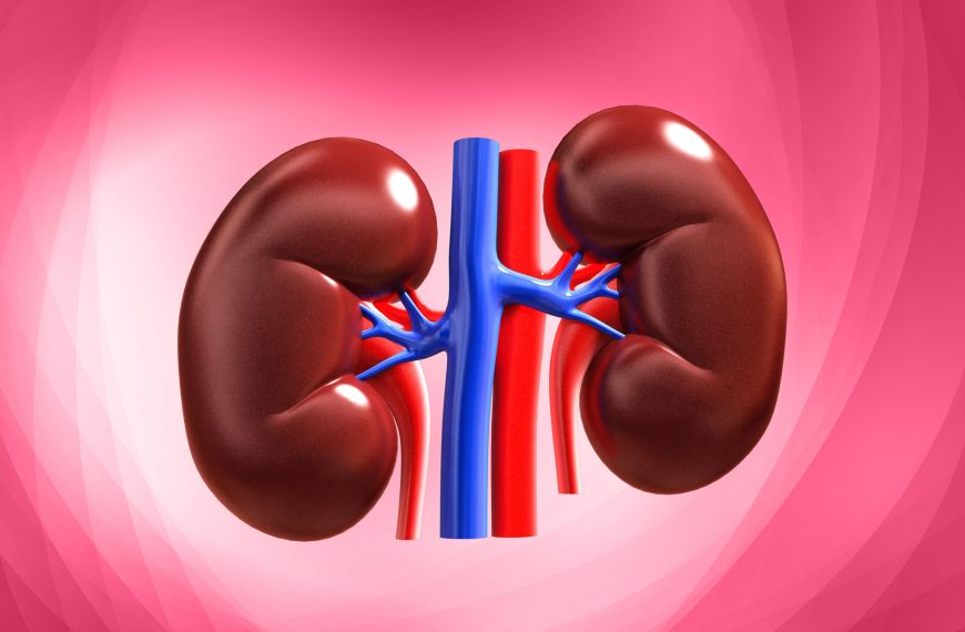 How to Keep Your Kidneys Healthy