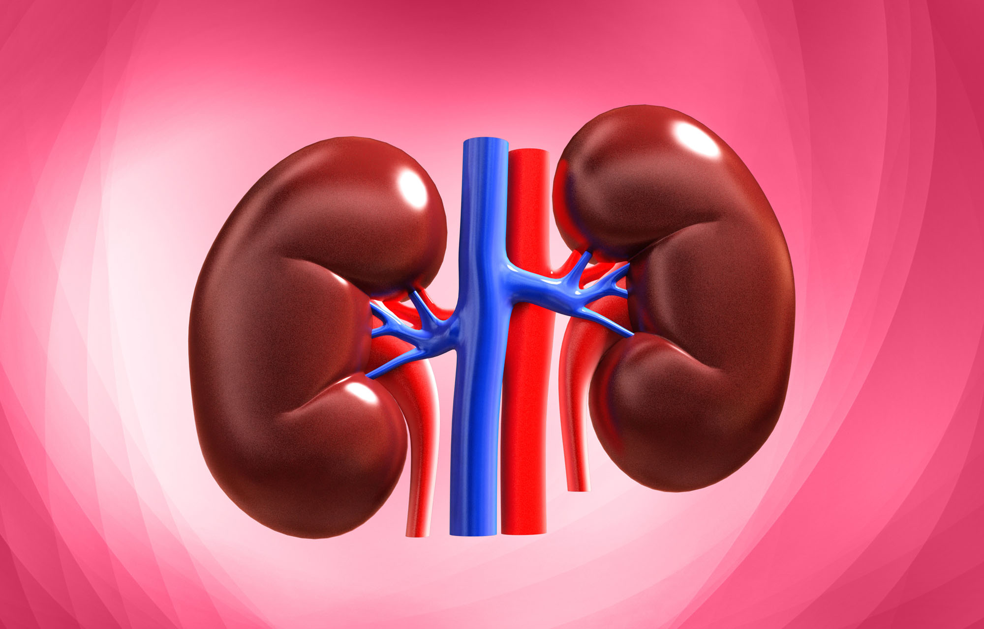 How to Keep Your Kidneys Healthy